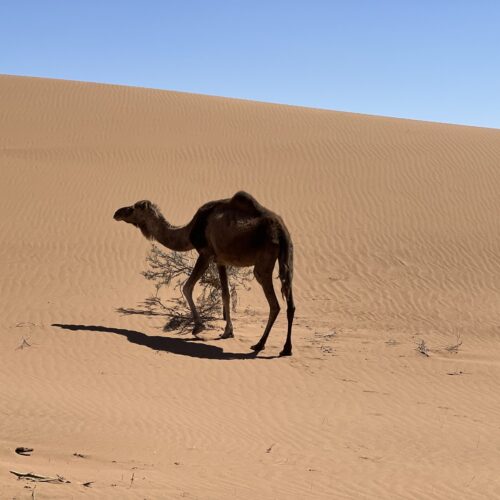 marruecos