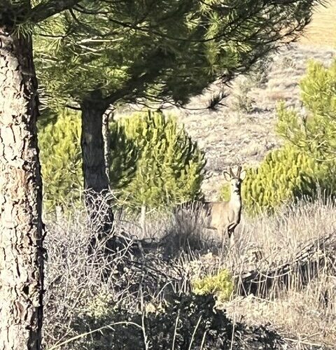 Ruta en 4x4