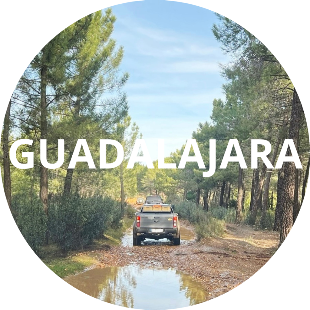 rutas 4x4