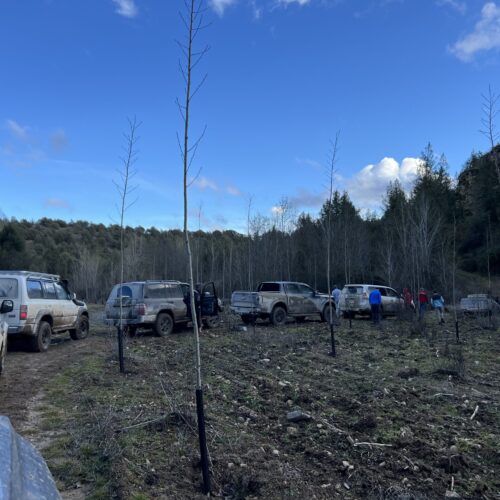 ruta4x4